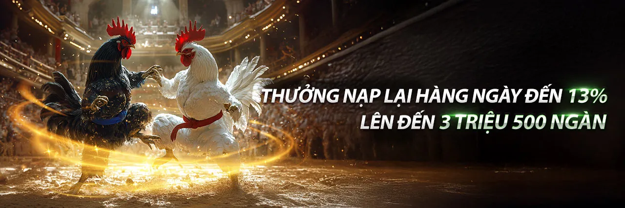 Sảnh cá cược thể thao Win555 sôi động với ưu đãi 99K